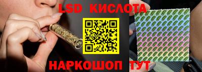 крисы Будённовск