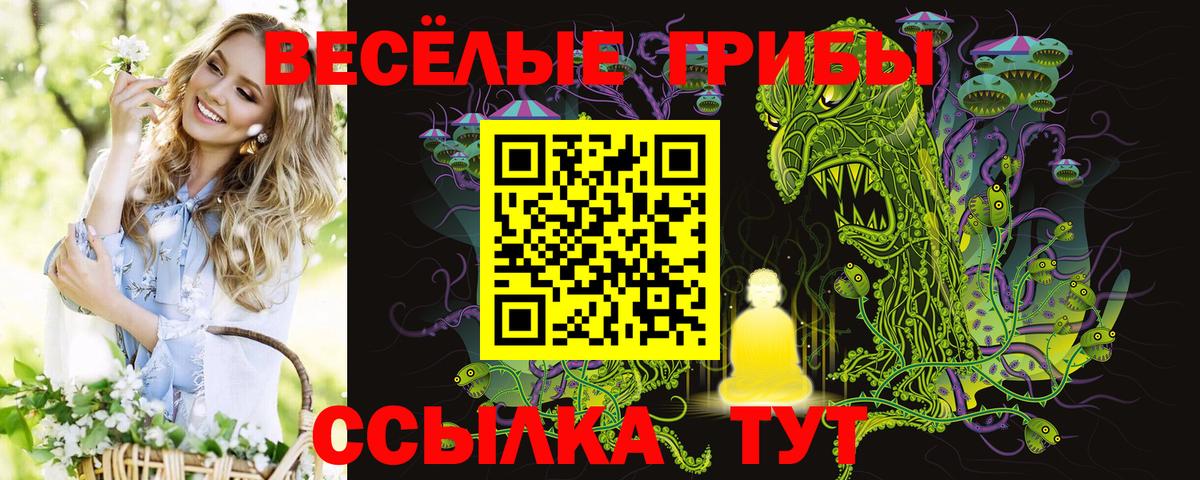Майкоп  Псилоцибиновые грибы Magic Shrooms  Вход с VPN  Галлюциногенные грибы Psilocybe 