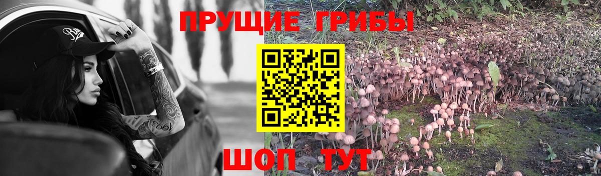 Псилоцибиновые грибы MAGIC MUSHROOMS Майкоп